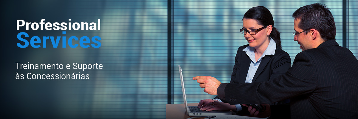 RS2000 Professional Services